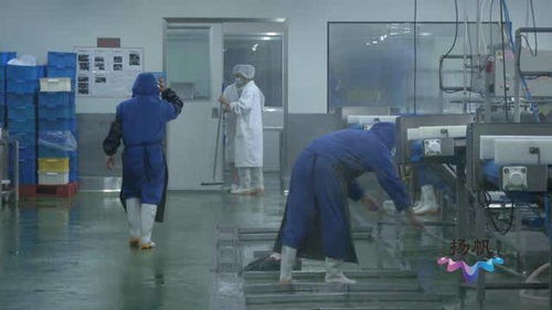 揚州市市場監督管理局 以“硬核監管”與“周到服務”雙輪驅動，筑牢餐飲安全防線